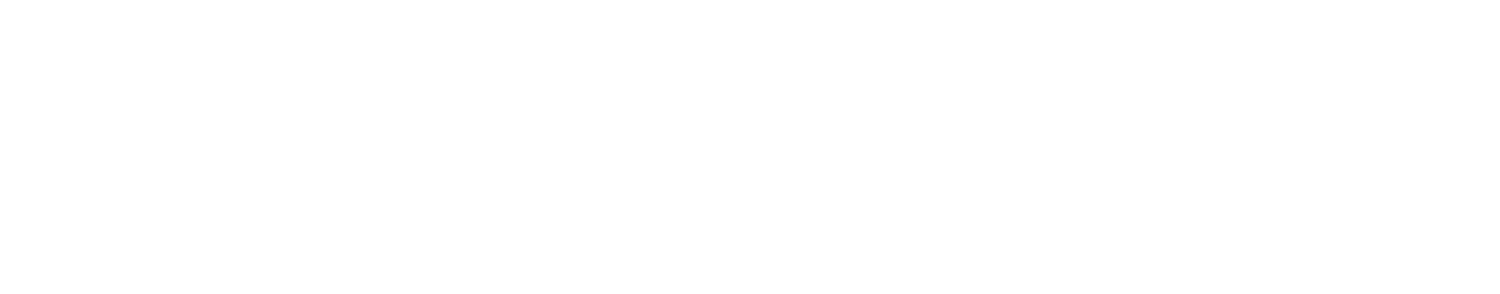 NetFusion Designs